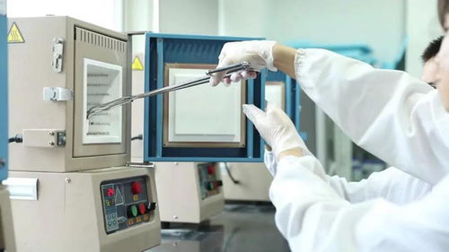 聚焦高質量發展 合肥市蜀山區 雙 谷 聯動 打造 全域科創 新生態