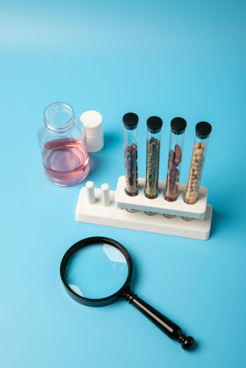 花生大豆食品安全農(nóng)業(yè)科技食品培育攝影圖 插畫 下載至來源處